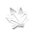 808.png