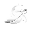 203.png