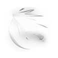 407.png