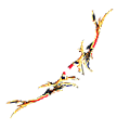 60037.png